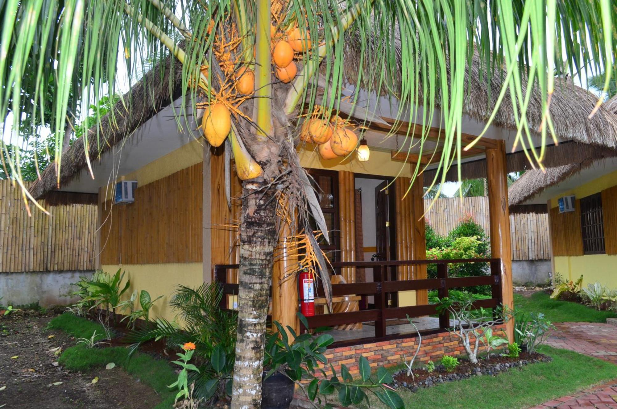 Veraneante Resort Đảo Đảo Panglao Phòng bức ảnh