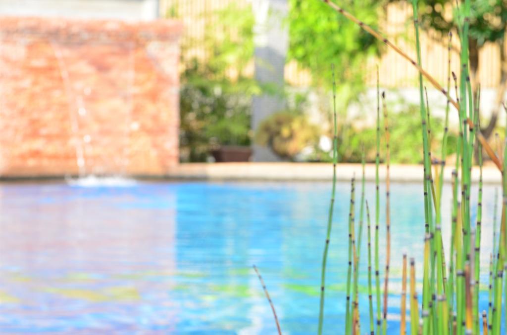 Veraneante Resort Đảo Đảo Panglao Ngoại thất bức ảnh